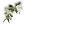 Alex Ryan, Consultant